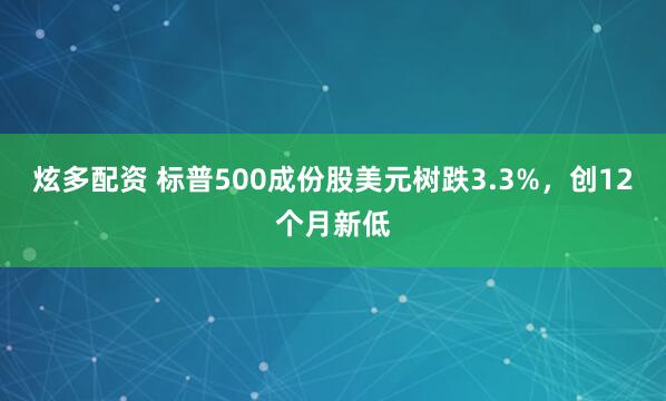 炫多配资 标普500成份股美元树跌3.3%，创12个月新低